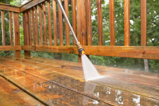 Best Sidewalk Pressure Washing  in Taylor Creek, FL