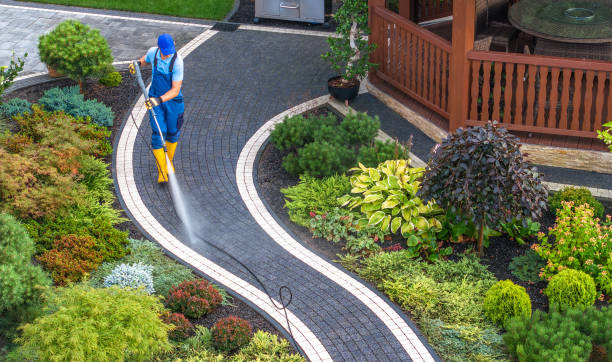 Best Exterior Home Cleaning  in Taylor Creek, FL